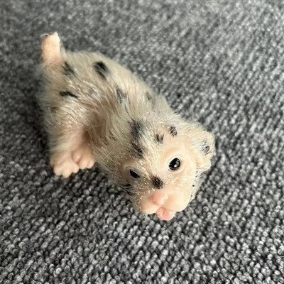 Mini silikónová bábika Baby Lion